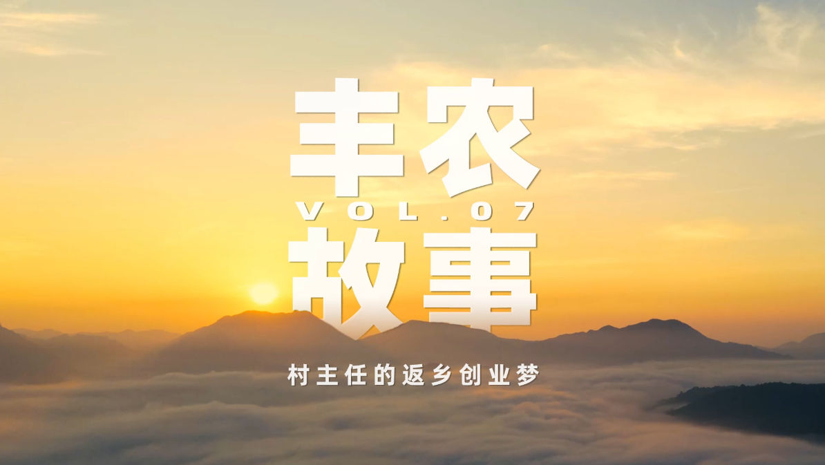 丰农故事VOL.07 村主任的返乡创业梦