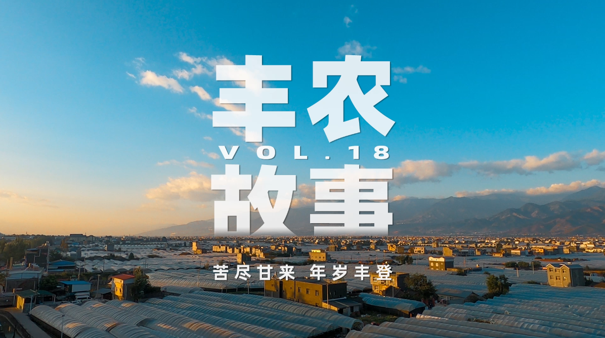 丰农故事VOL.18 苦尽甘来 年岁丰登