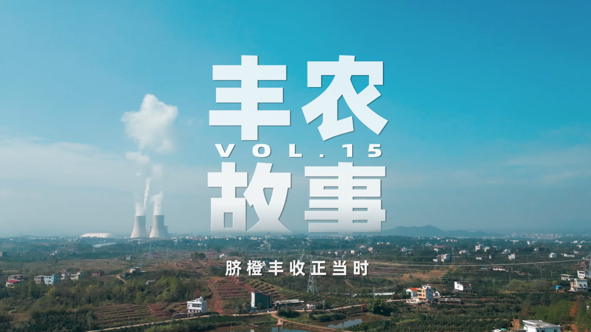 丰农故事VOL.15 脐橙丰收正当时