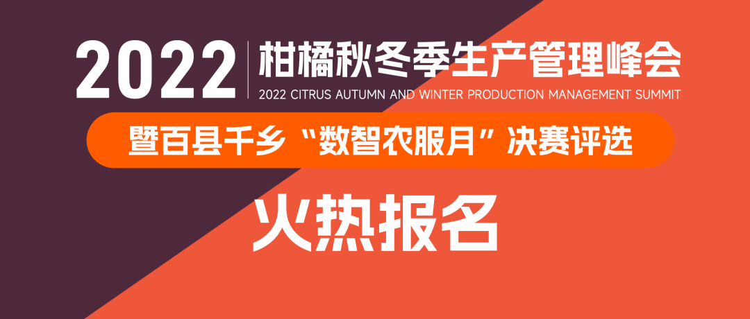 柑橘秋梢期如何防病害？超强阵容专家组团支招，让你家柑橘卖个高价